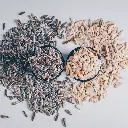 caca kelapa 100g 3 copy.webp